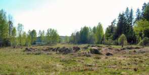 Kaatuneita