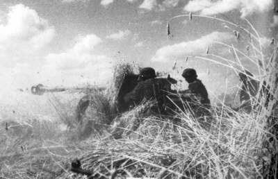 PaK40